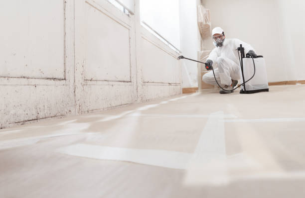 24/7 Emergency Attic Mold Removal experts in Nutley, NJ